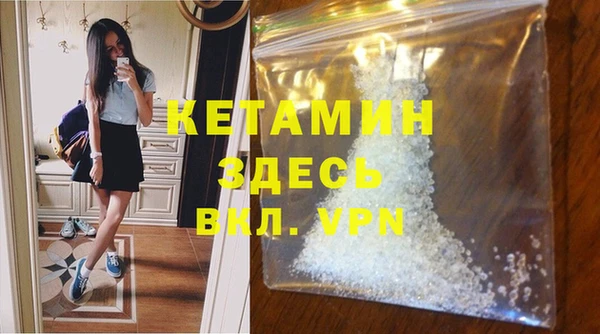 шишки Ессентукская