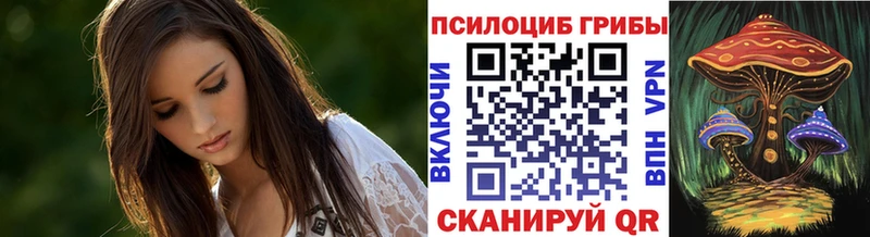 Купить закладки  Олёкминск  Галлюциногенные грибы мицелий 